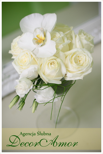 DecorAmor